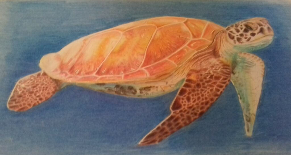 Basile Geneste Portfolio - Dessin et illustration