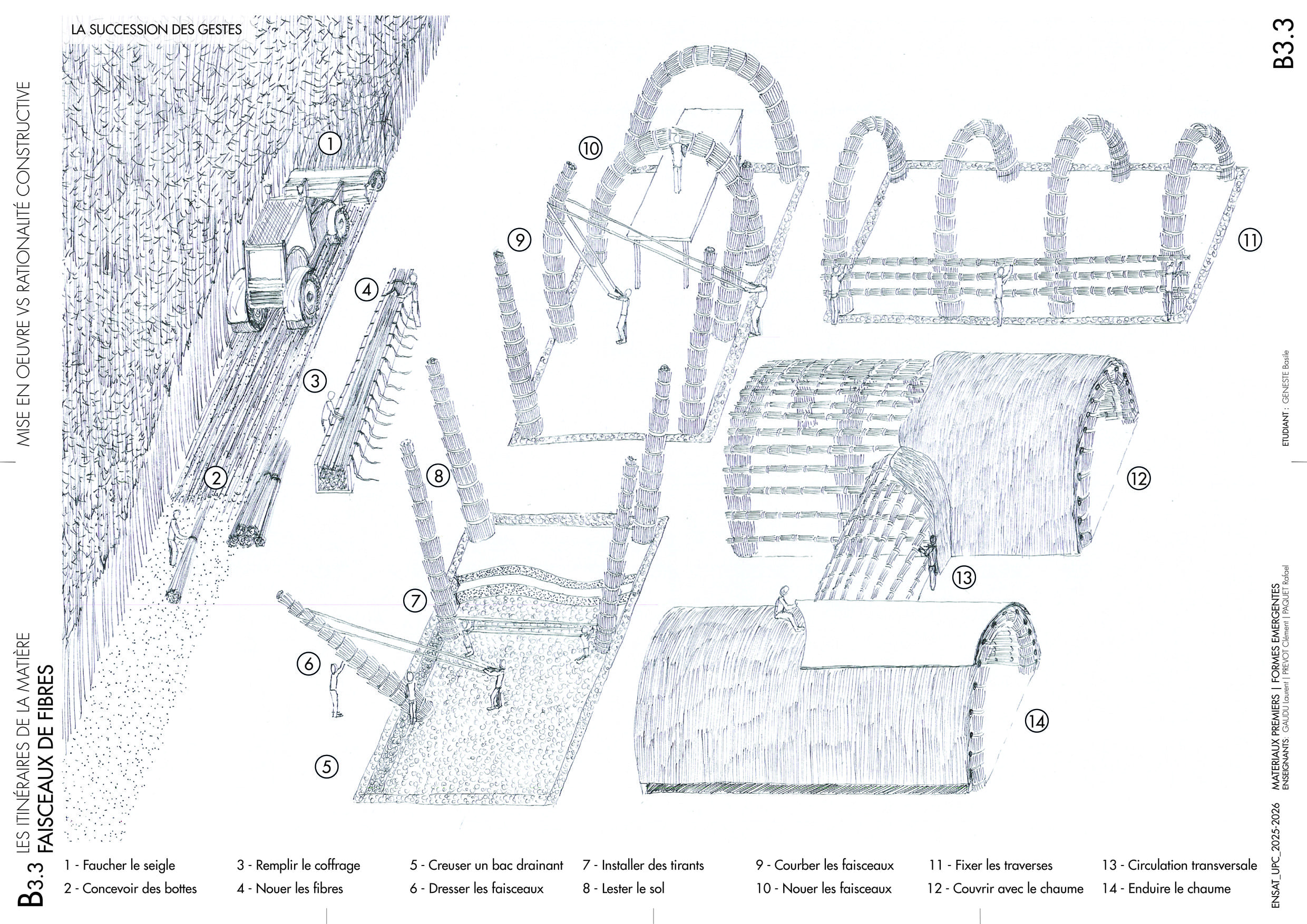 Planche recherche - mudhif - bagnères-de-luchon - fibres - miscanthus - roseau