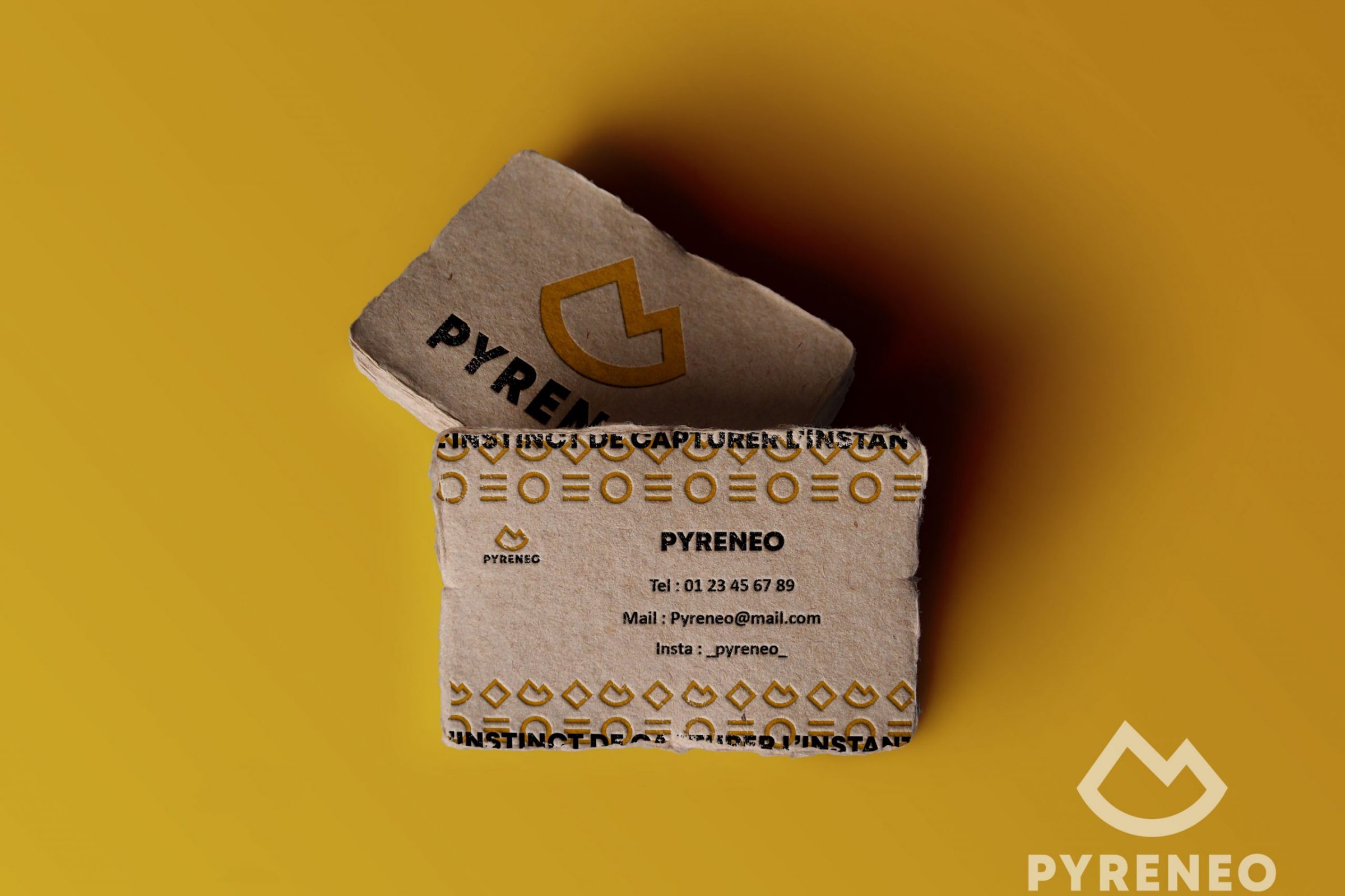 Pyreneo Carte carton